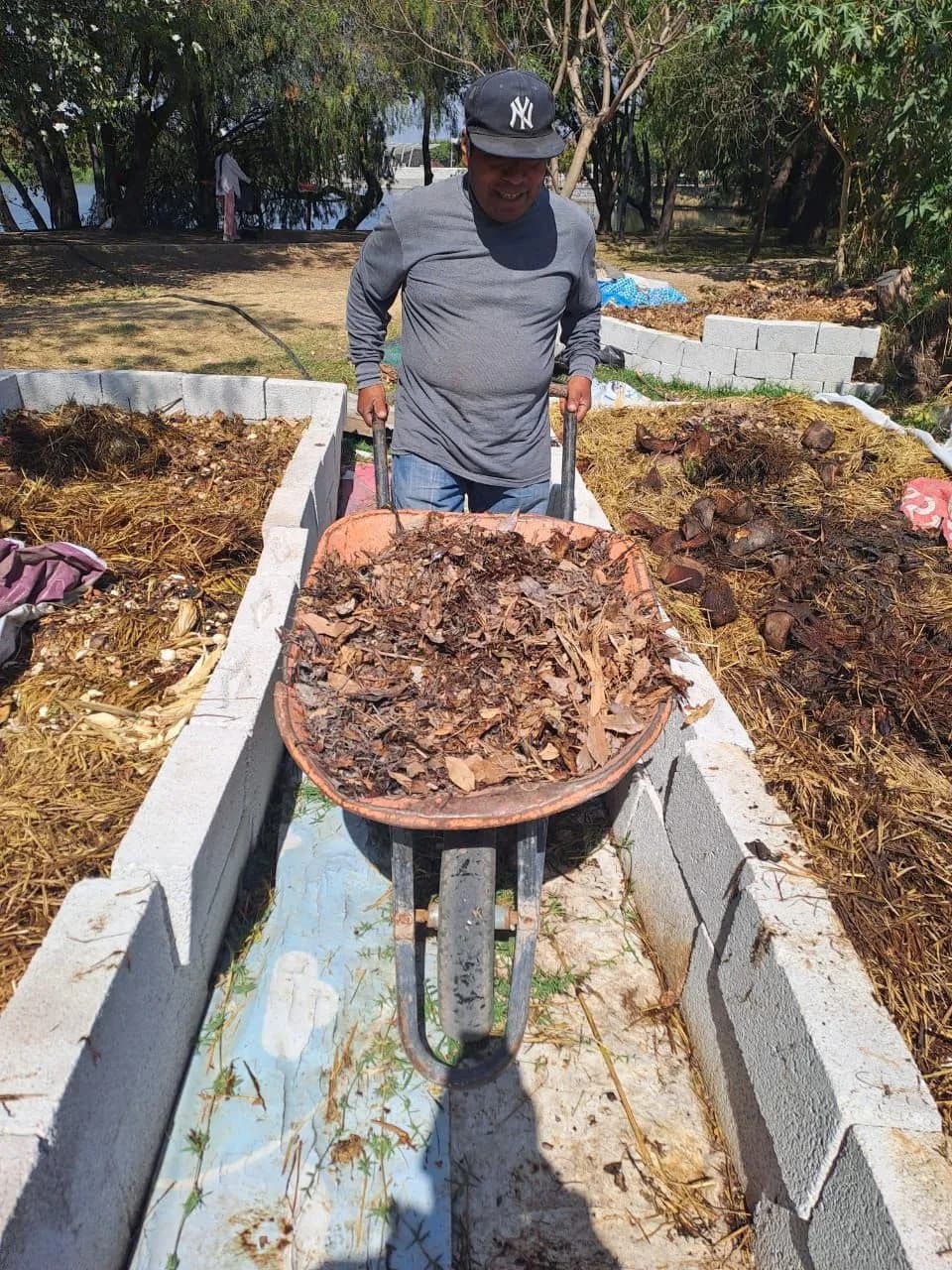 Fortalece Gobierno de la Ciudad manejo sustentable de residuos orgánicos