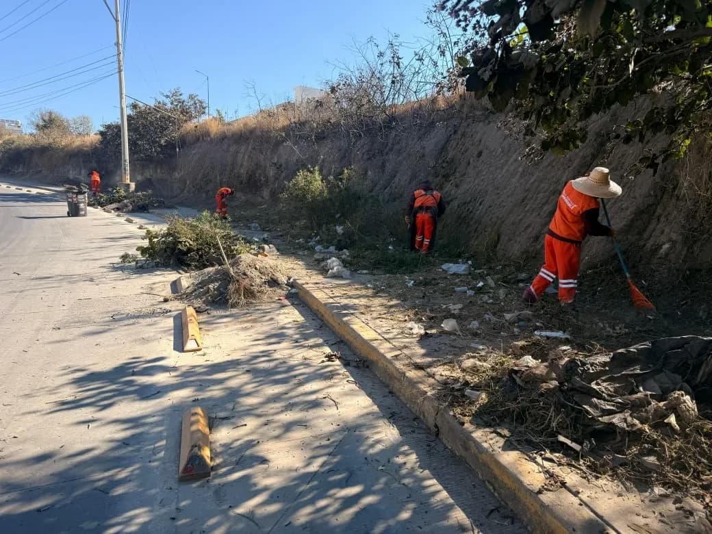 La Secretaría de Movilidad e Infraestructura instaló confinadores y ejecutó acciones de remarcaje del espacio asignado a la ciclovía