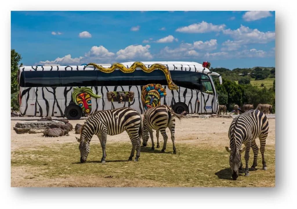 Africam Safari busca personal; postúlate a una de sus 14 vacantes