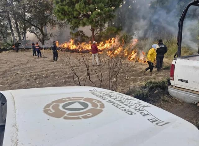 Controlan 122 incendios forestales en lo que va del año