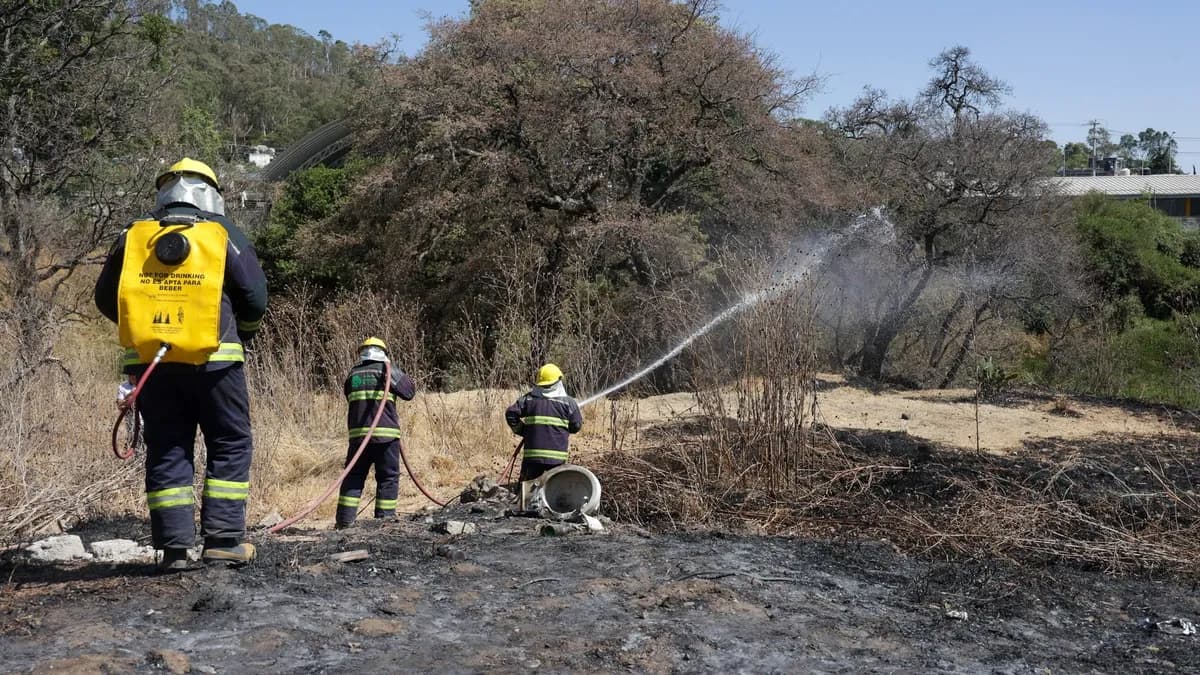 Crece en 45% afectaciones por incendios forestales en Puebla