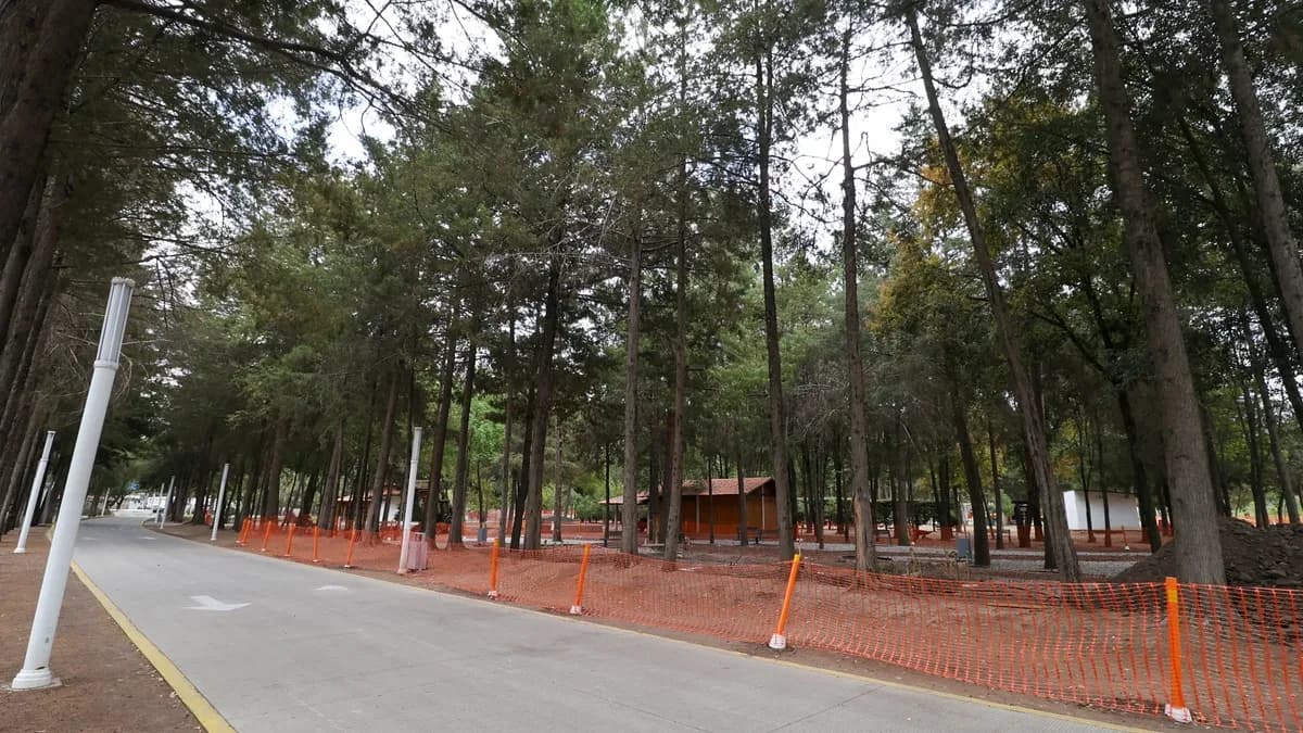 Parque Flor del Bosque abrirá de manera parcial por obras