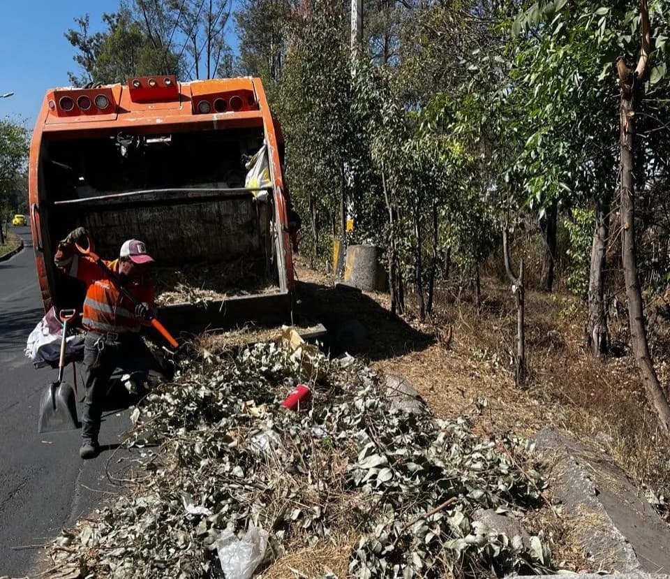Intensifican acciones en barrancas y ríos para evitar inundaciones