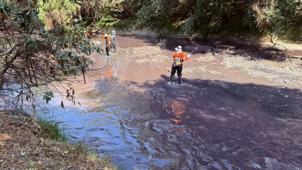Saneamiento del río Atoyac costará casi 6 mil millones de pesos