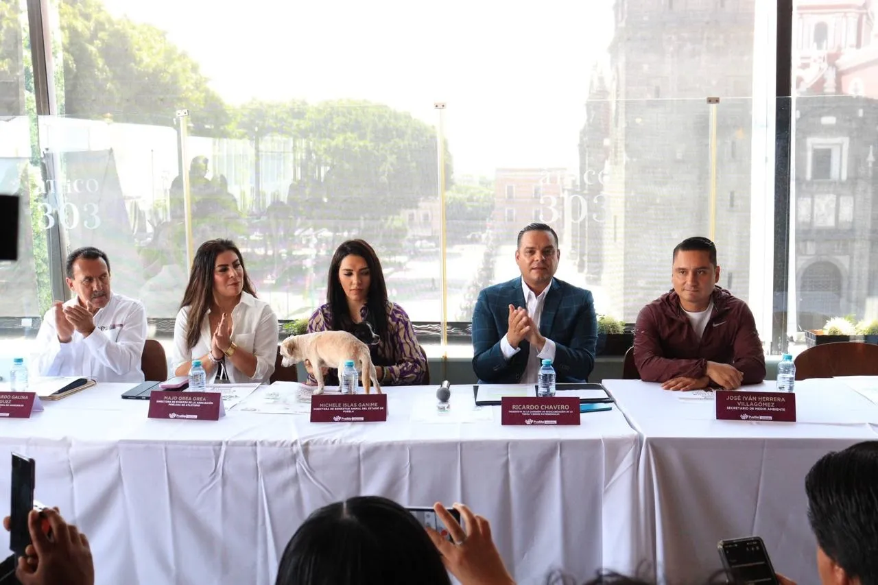 Promueven bienestar animal con carrera en Puebla