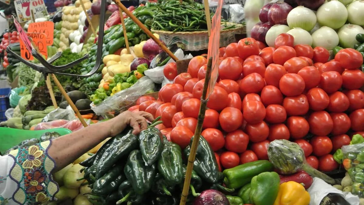 Jitomate, chile serrano y cebolla, los alimentos que más han subido de precio en Puebla