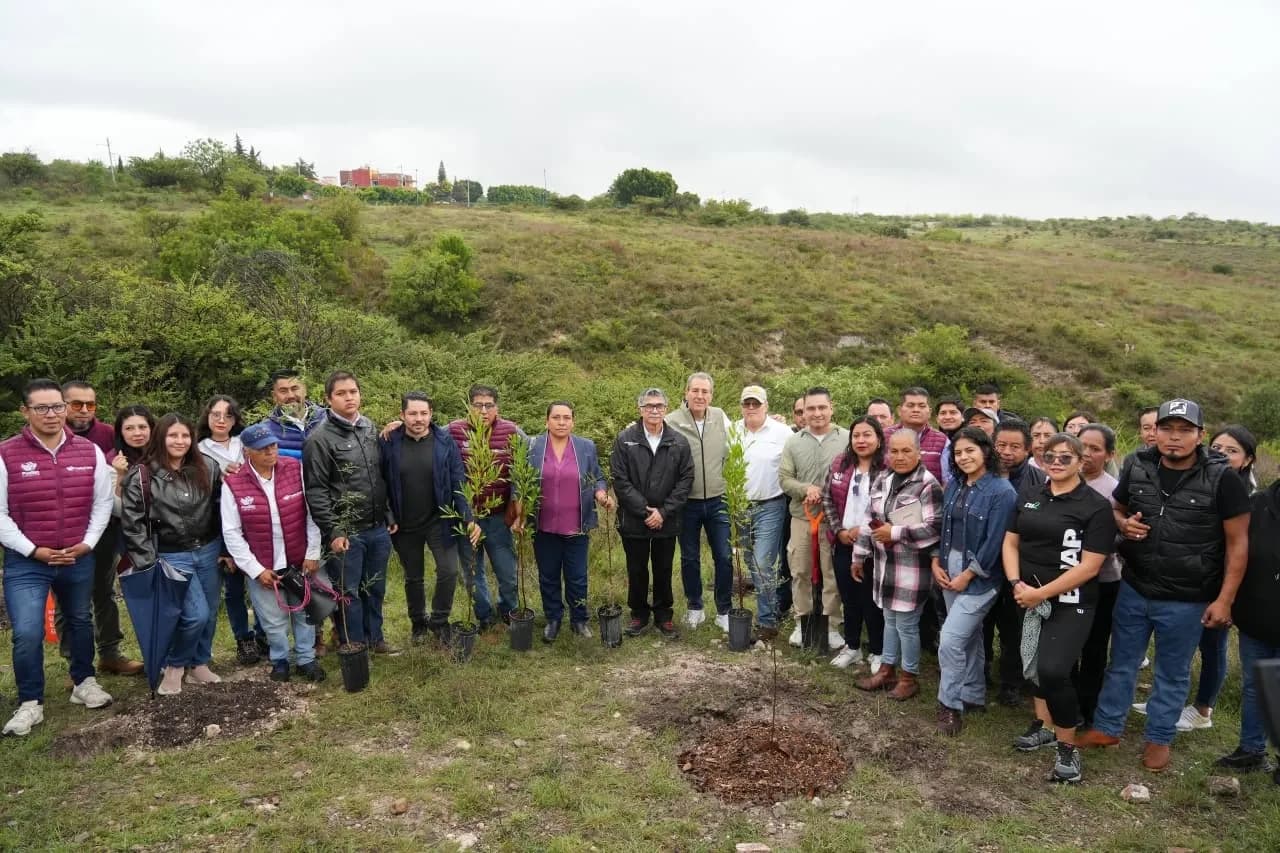 Alianza ambiental por una ciudad sostenible