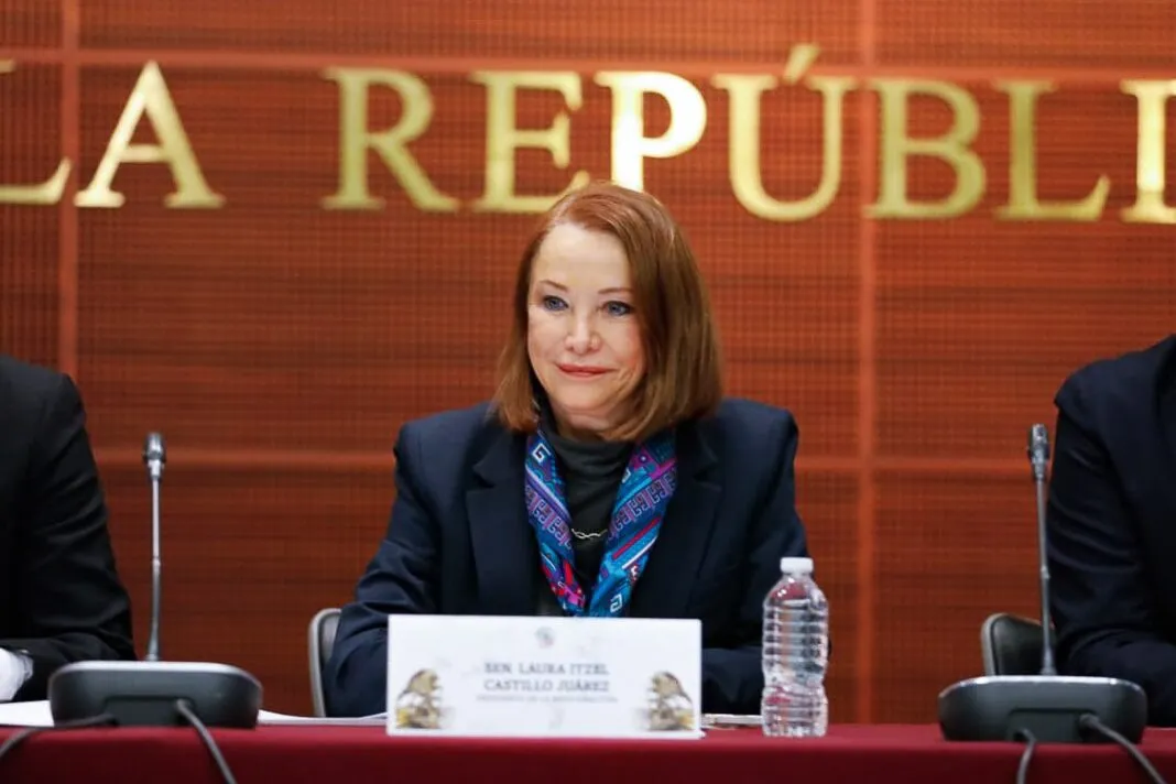 Laura Itzel Castillo será la nueva secretaria de las Mujeres