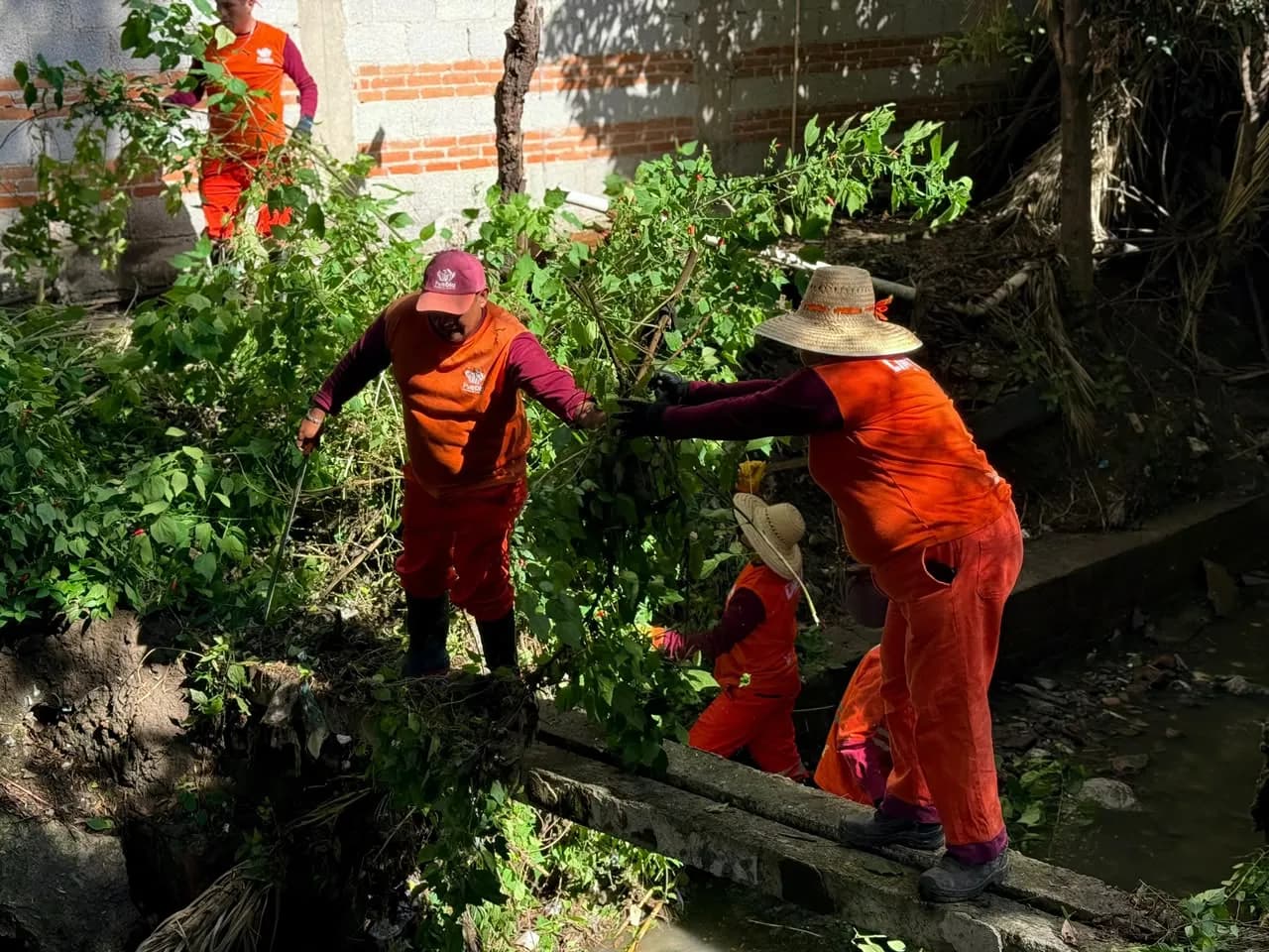 Limpian barranca en Romero Vargas para prevenir riesgos por lluvias