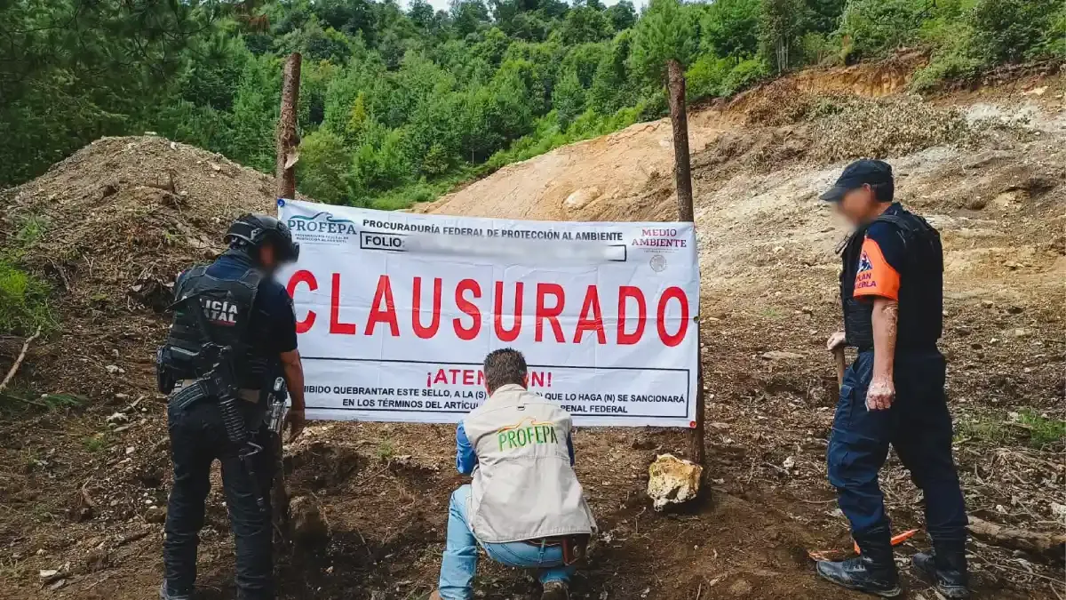 Profepa clausura cambio ilegal de uso de suelo en Zacatlán
