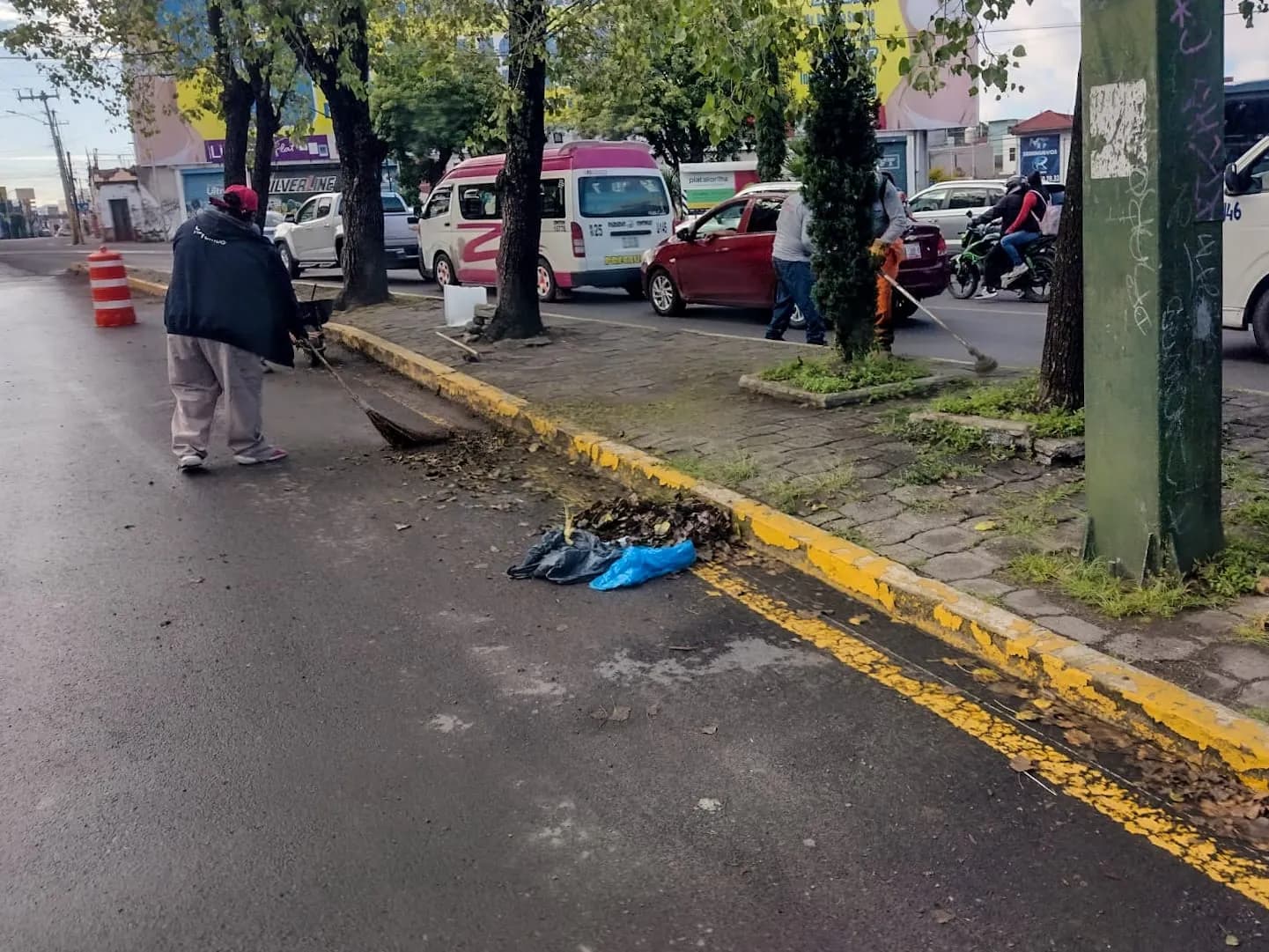 Gobierno de la Ciudad atiende más de 16 millones de metros cuadrados de camellones