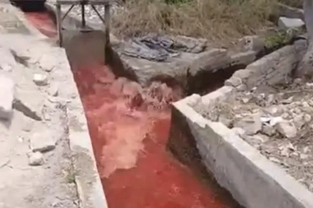 Agua de riego en Altepexi se tiñe de rojo; agricultores piden investigar