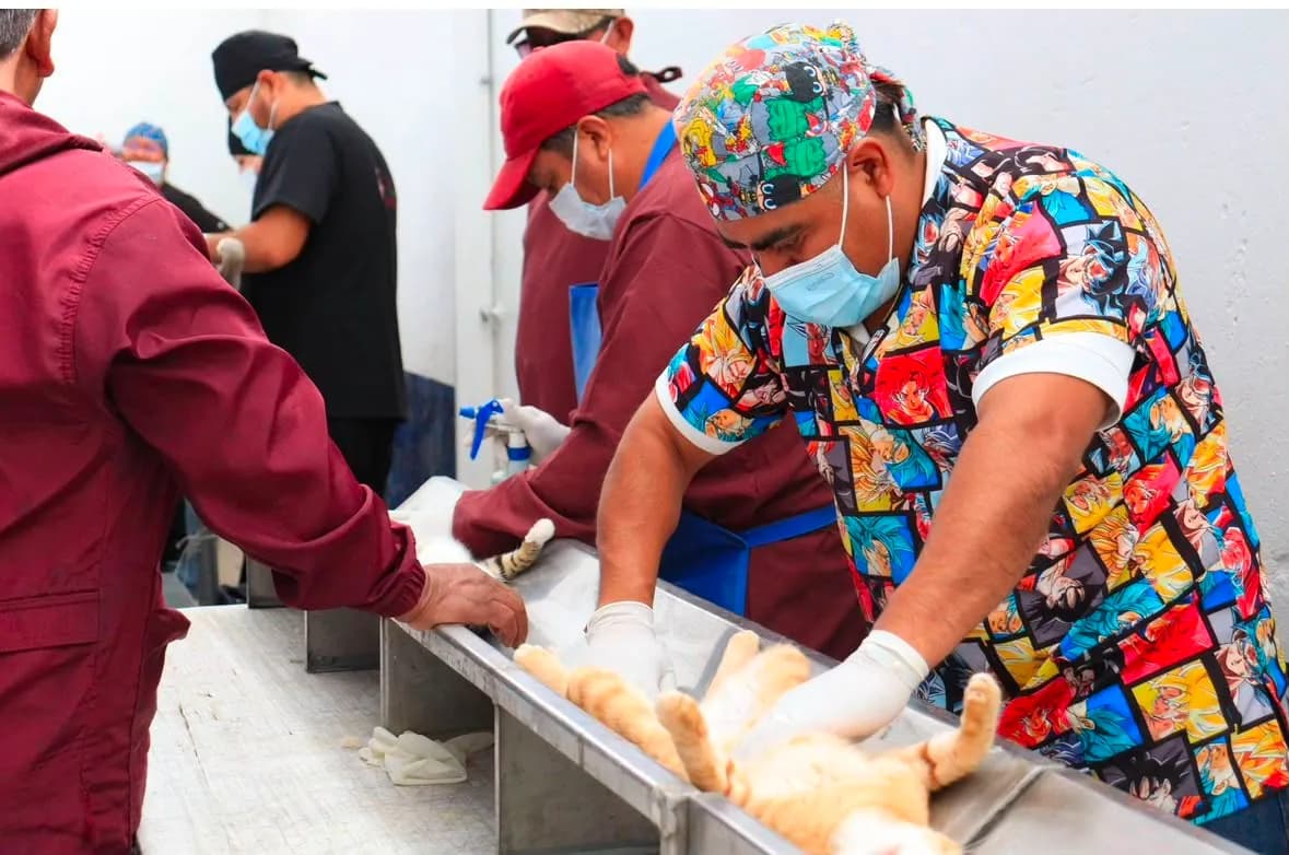 Gobierno de la Ciudad supera las 200 jornadas de protección animal en Puebla