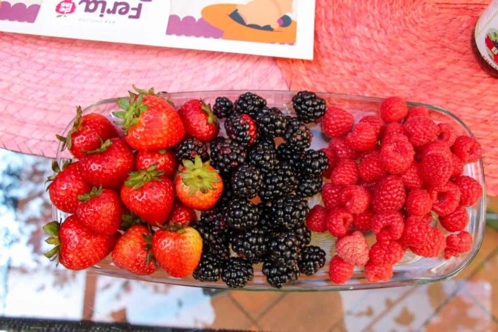 Huejotzingo se prepara para la Feria de las Berries 2026 con más de 150 expositores