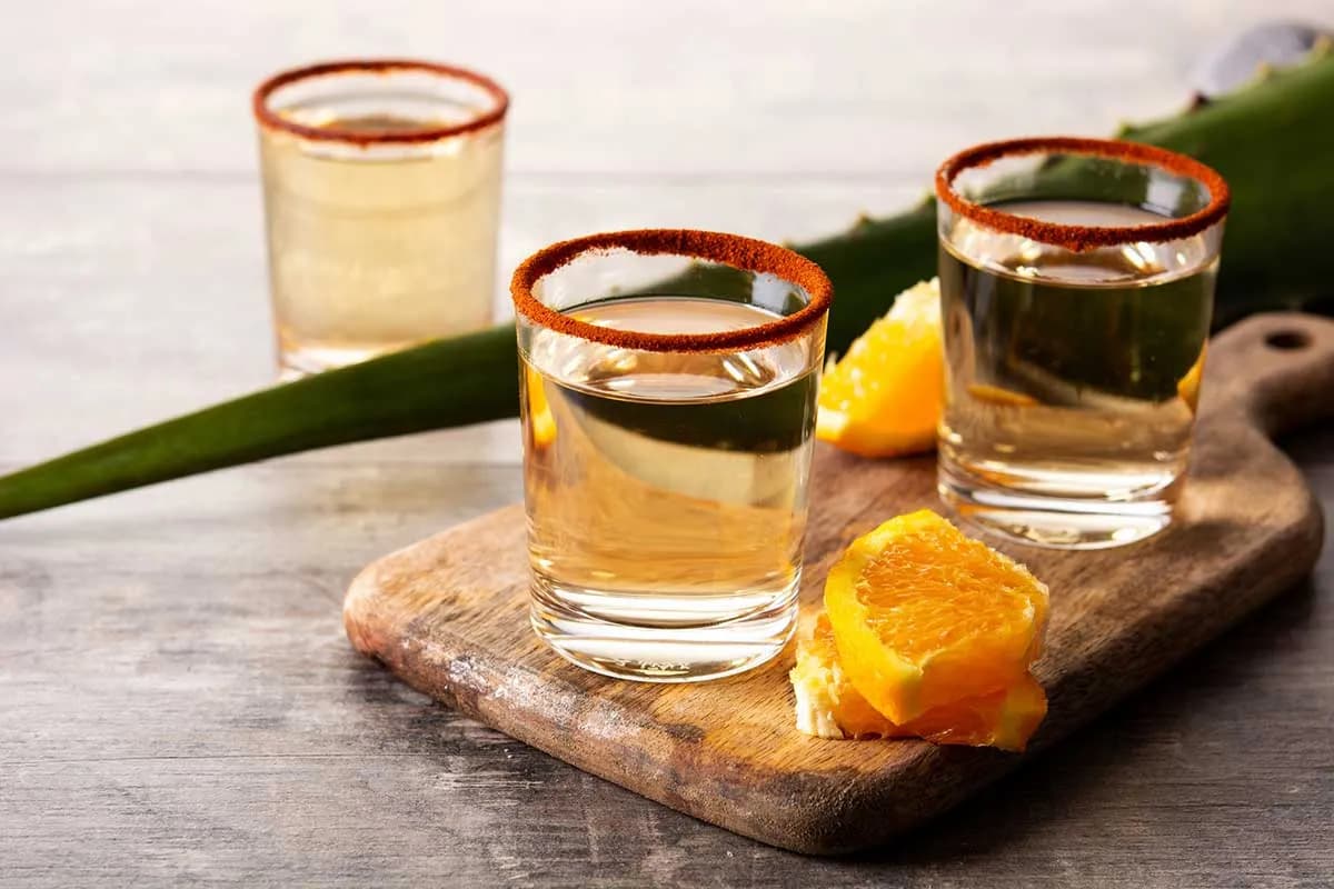 Puebla prepara el Encuentro Nacional del Mezcal 2026