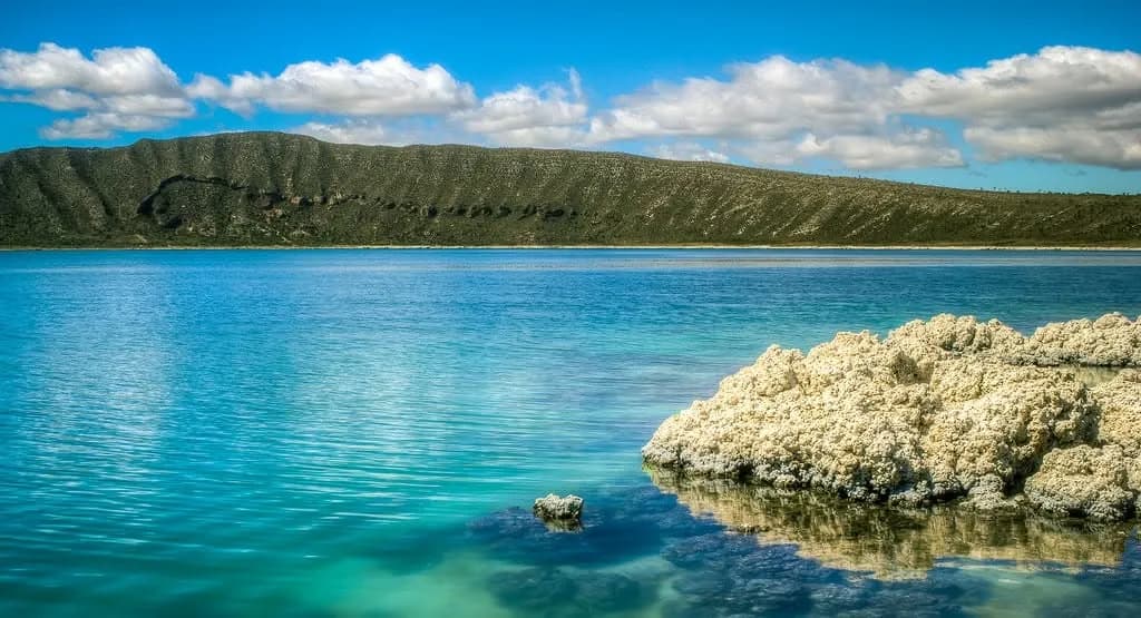 Las “rocas” de la Laguna de Alchichica están vivas: así es este extraño ecosistema de Puebla