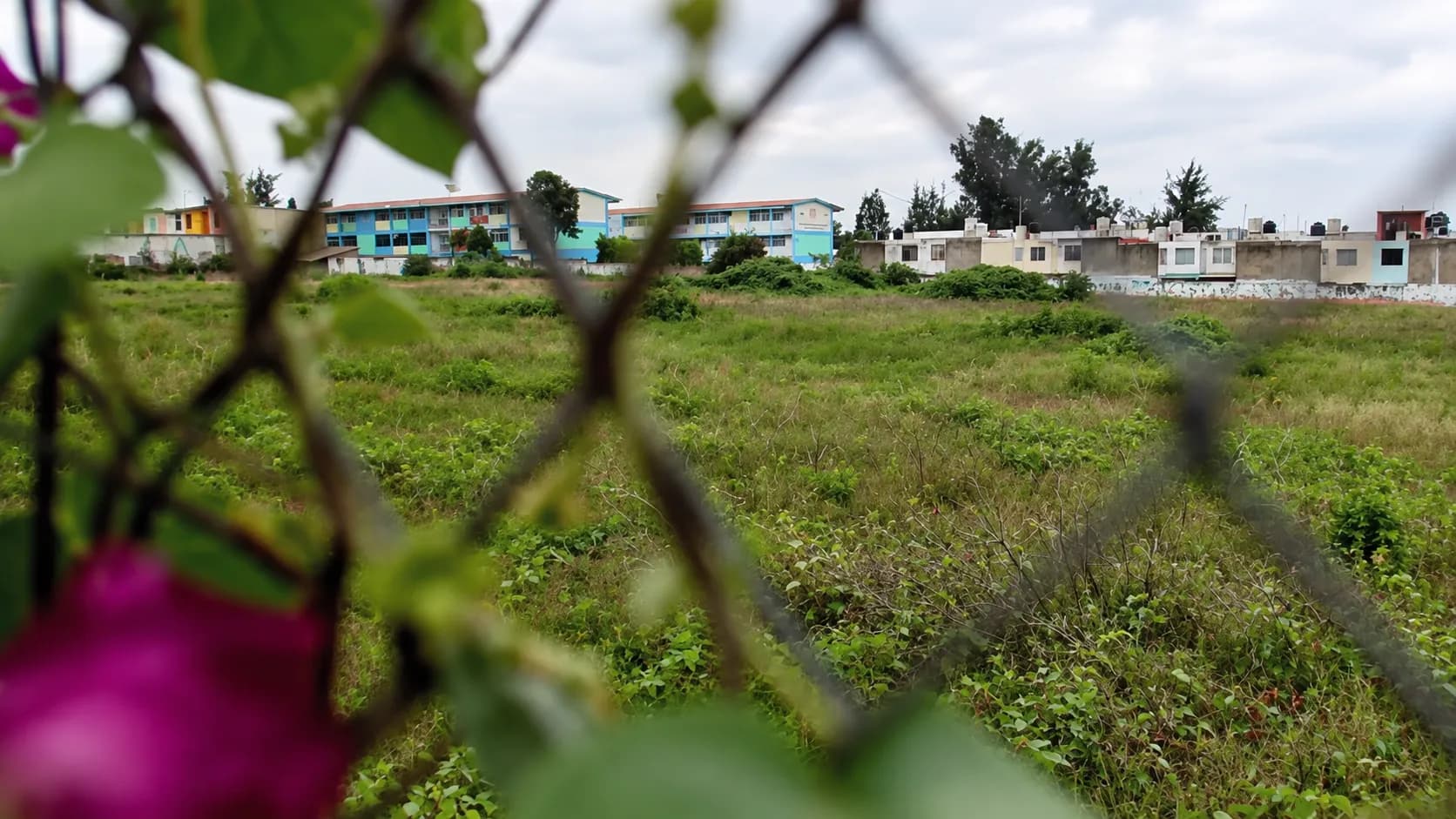 El sur de Puebla tiene alrededor de 2 metros cuadrados de áreas verdes por habitante