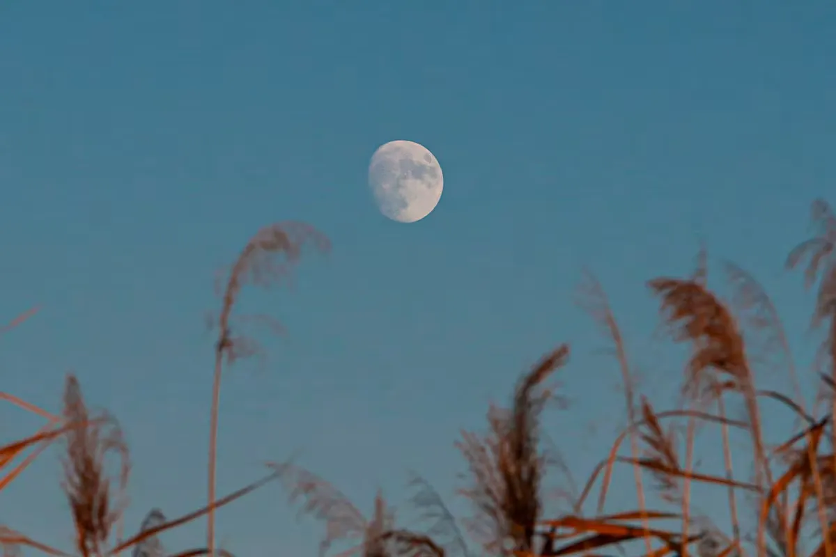 La Luna de Cosecha iluminará el cielo de Puebla esta semana