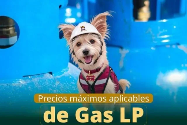 Gas LP supera los 20 pesos por kilo en Puebla y así queda el precio esta semana
