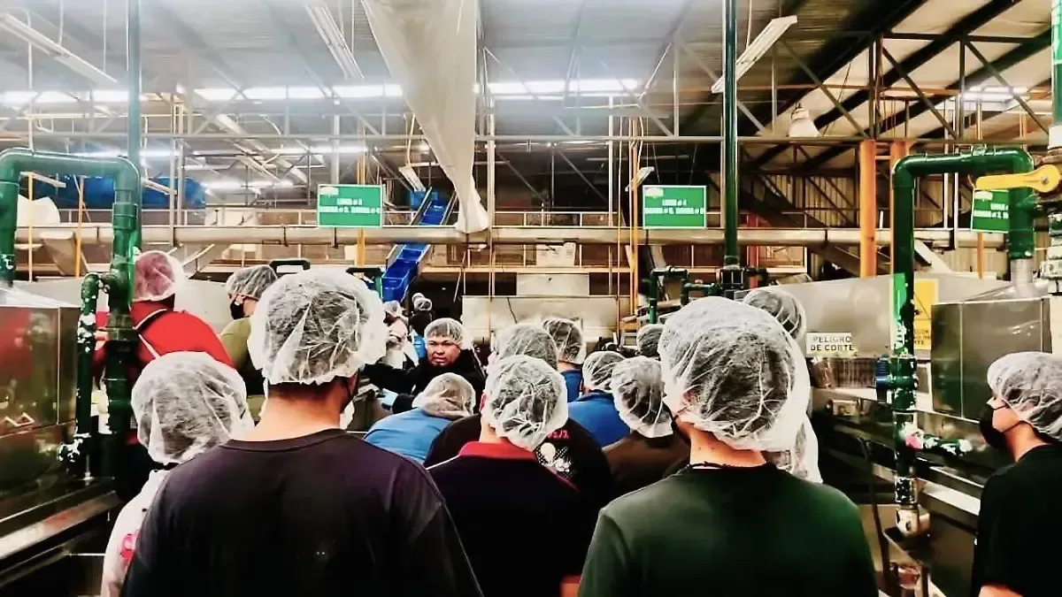 UTTECAM conecta a sus estudiantes con empresas de empaques, vegetales y polietilenos