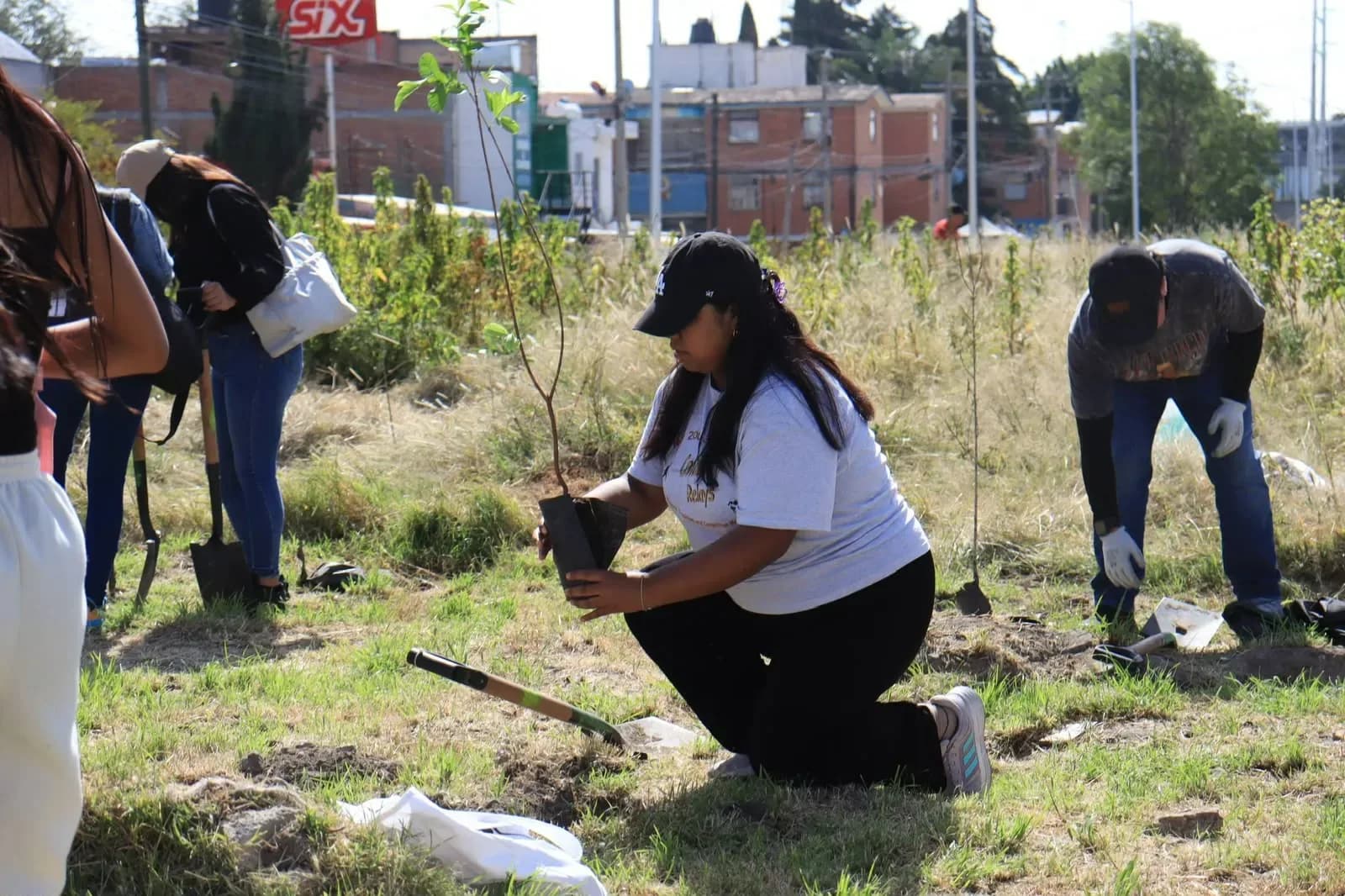 Gobierno de la Ciudad supera los 100 mil árboles plantados con Raíces del Futuro