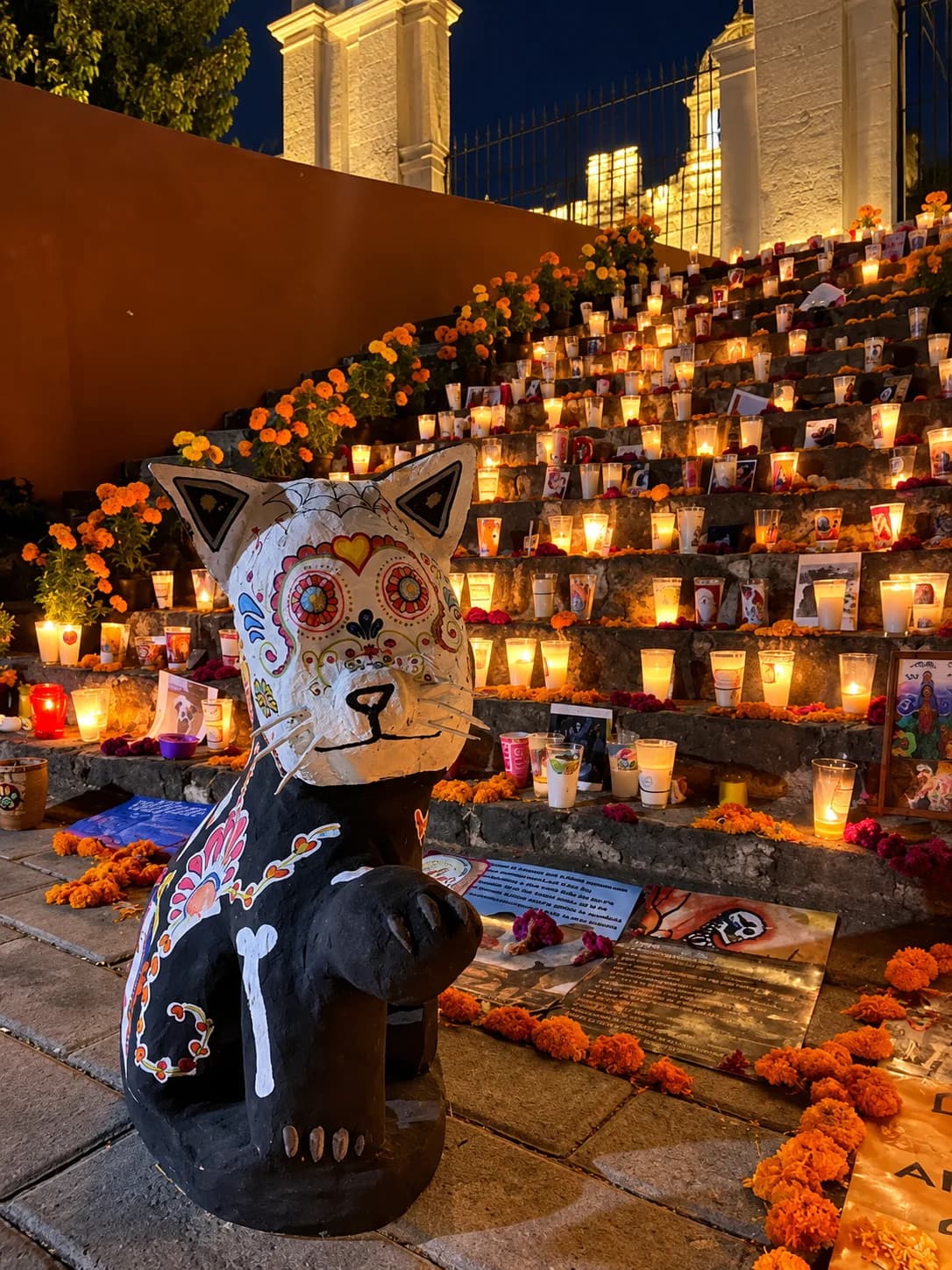 Atlixco encenderá 1,800 veladoras para recordar a perros y gatos en la Ofrenda de Luz
