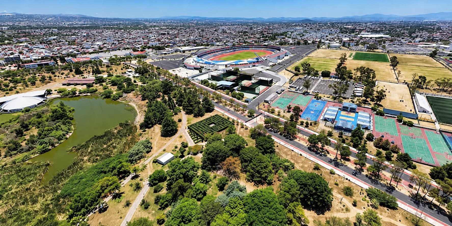 La BUAP prepara su primer Festival de los Encinos: cuatro días para descubrir los árboles que sostienen nuestros bosques