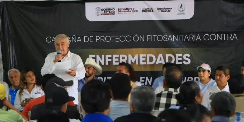 Xicotepec protege un cultivo poco común en la Sierra Norte