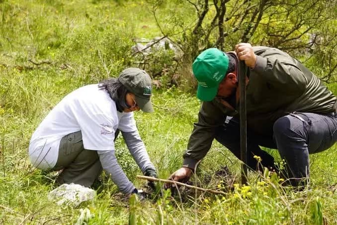 Puebla distribuye plantas para recuperar zonas verdes en 104 municipios