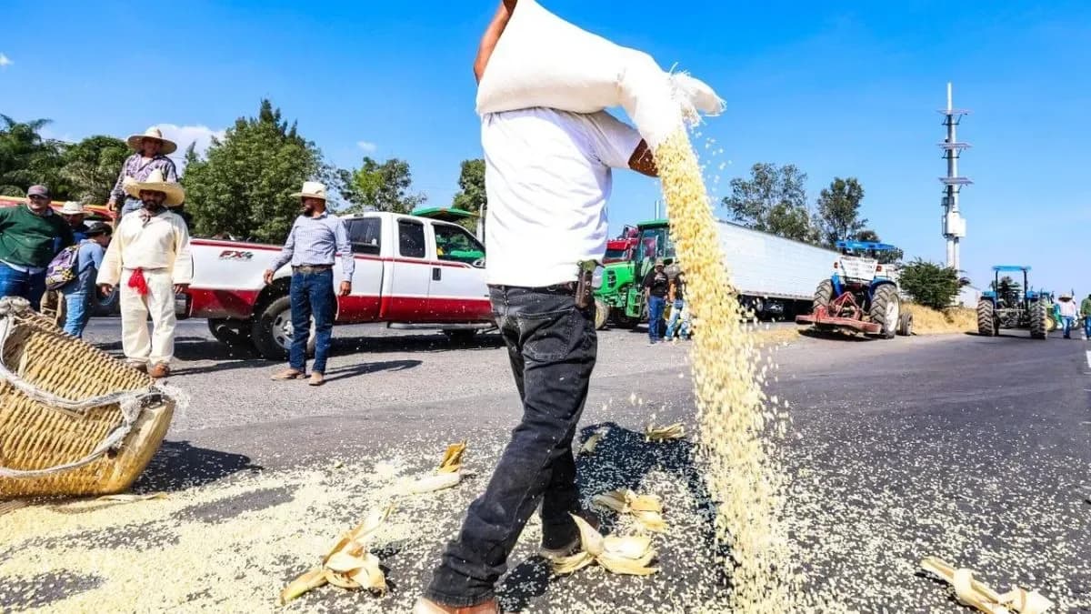 Productores de maíz posponen movilización tras abrir diálogo con autoridades