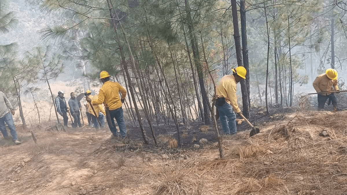 Tlachichuca, el municipio con más incendios forestales en Puebla durante 2025