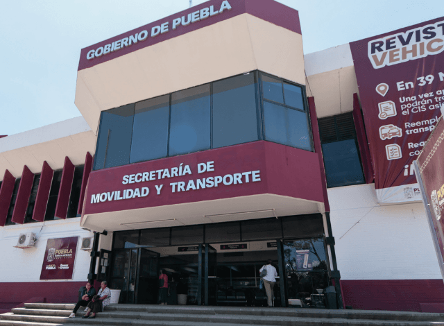 Caos de fin de año en Movilidad por trámites de placas y presencia de coyotes