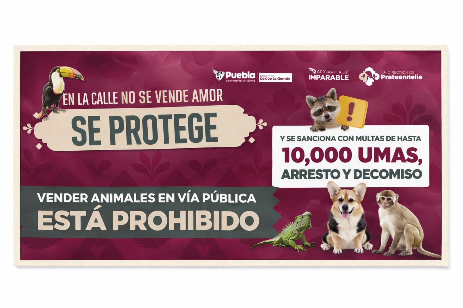Aplica Ayuntamiento acciones para garantizar el bienestar animal y la legalidad